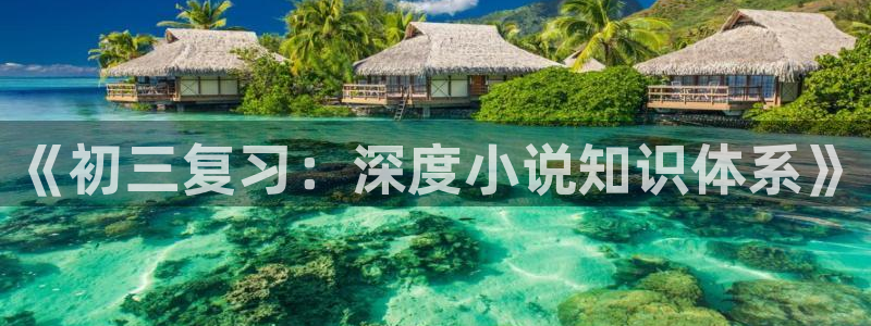 起点小说怎么免费阅读：《初三复习：深度小说知识体系》
