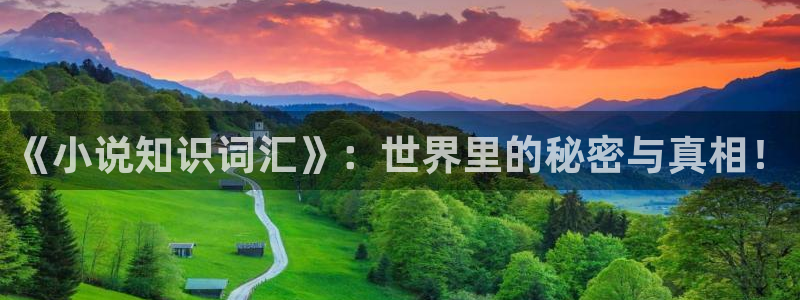 起点小说免费读：《小说知识词汇》：世界里的秘密与真相！