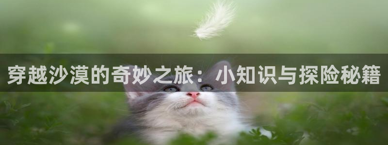 万古神帝飞天鱼起点小说网：穿越沙漠的奇妙之旅：小知识与探险秘籍