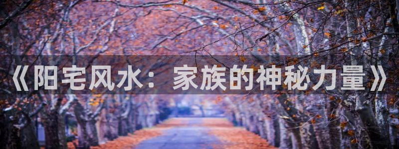 起点小说论坛：《阳宅风水：家族的神秘力量》