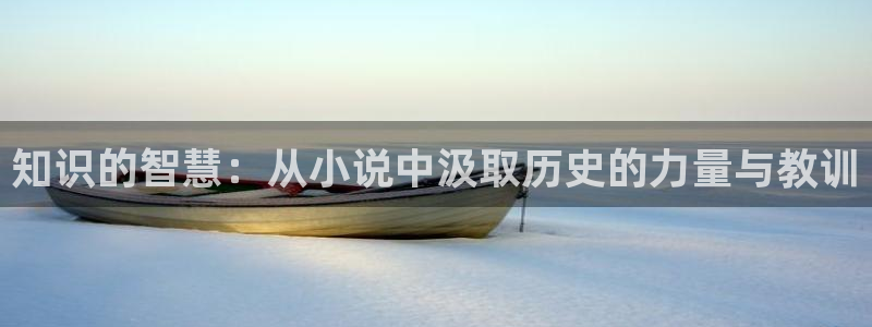 起点小说历史排行榜：知识的智慧：从小说中汲取历史的力量与教训