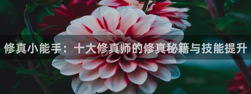 起点中文网阅读：修真小能手：十大修真师的修真秘籍与技能提升