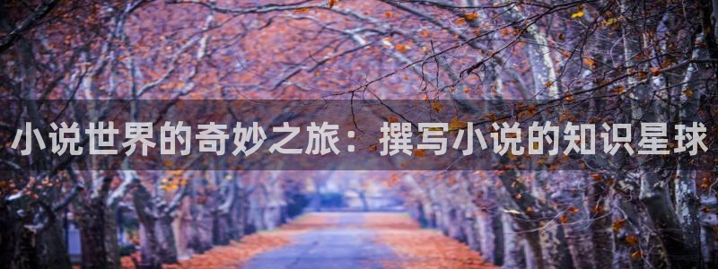 起点好看的科幻小说：小说世界的奇妙之旅：撰写小说的知识星球