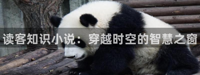 校花的贴身高手小说全文阅读起点：读客知识小说：穿越时空的智慧之窗