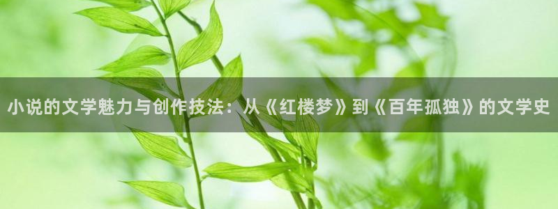 起点中文网最火的小说：小说的文学魅力与创作技法：从《红楼梦》到《百年孤独》的文学史