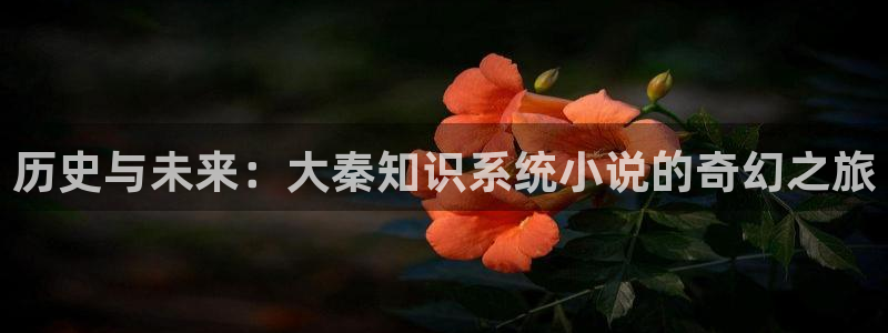 起点中文网官网在线小说：历史与未来：大秦知识系统小说的奇幻之旅