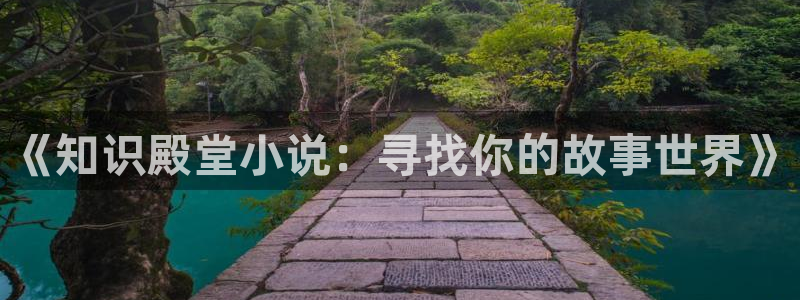 纪少龙林芷晴全文免费阅读起点：《知识殿堂小说：寻找你的故事世界》