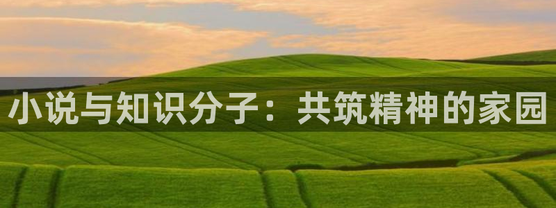 免费阅读起点小说的app：小说与知识分子：共筑精神的家园