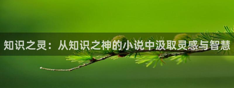 想在起点写小说：知识之灵：从知识之神的小说中汲取灵感与智慧