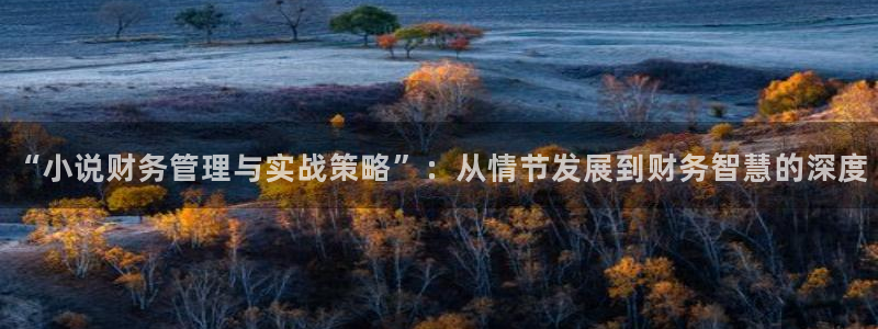 帝霸起点小说：“小说财务管理与实战策略”：从情节发展到财务智慧的深度